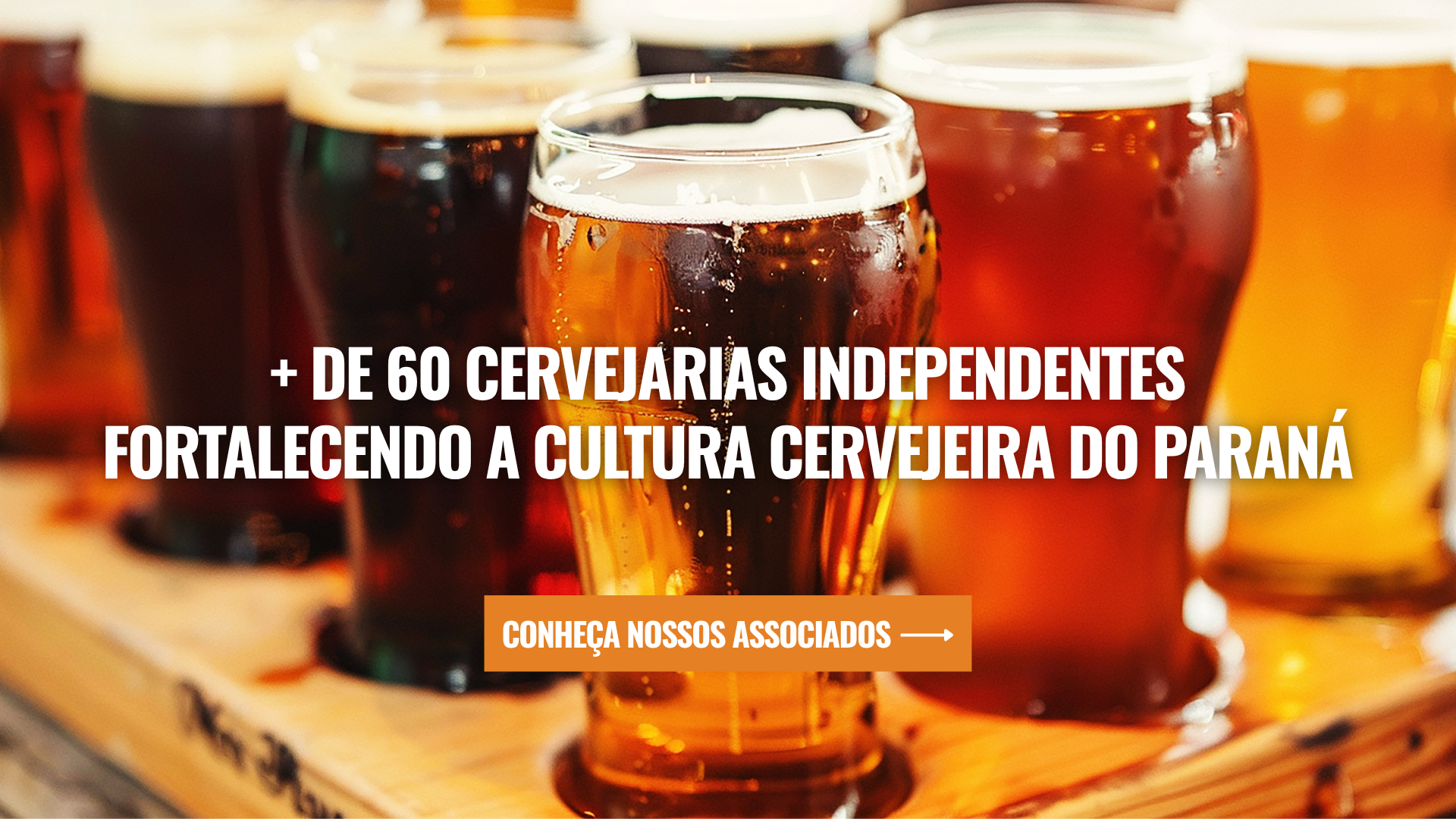 Mais de 60 cervejarias independentes fortalecendo a cultura cervejeira do Paraná